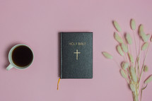 BIble on a pink background 