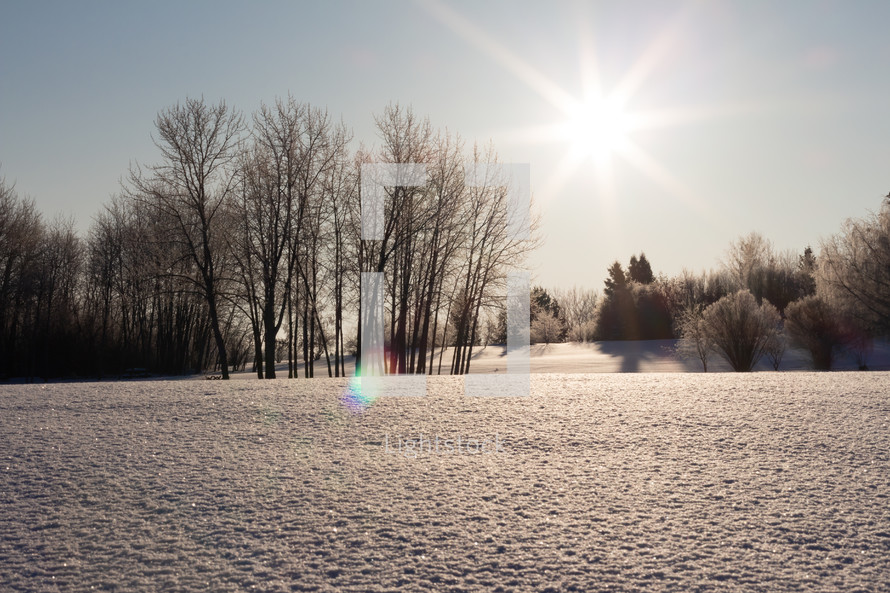 winter scene in morning sunlight 