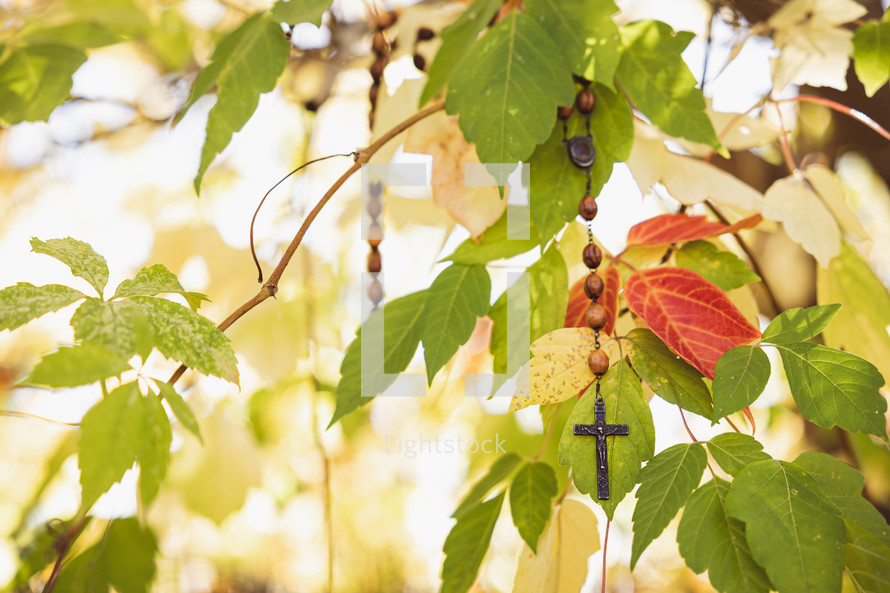 Rosary with wood prayer beads hanging in an autumn tree
