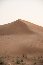 sand dunes in Dubai 
