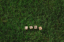Love spelled out in scrabble tiles on grass.