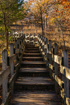 wooden steps in a forest 