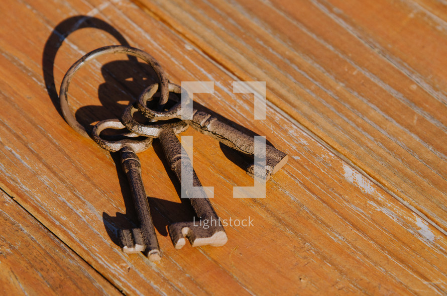Old key ring on weathered wood.