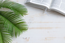 palm fronds and open Bible 