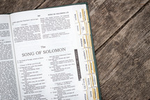 The Song of Solomon 