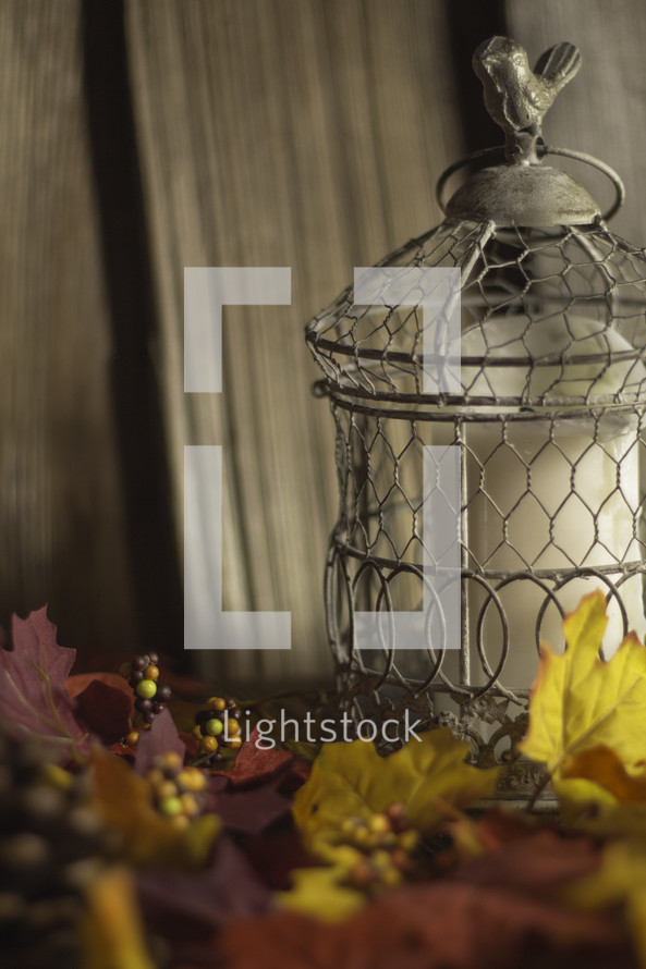 fall scenes - pine cones, fall leaves, candle in a bird cage 