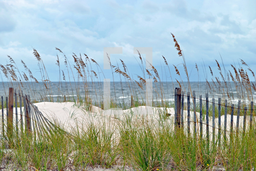 Sea oats and storm fence edge the beach.
