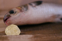 A coin from a fish's mouth. 