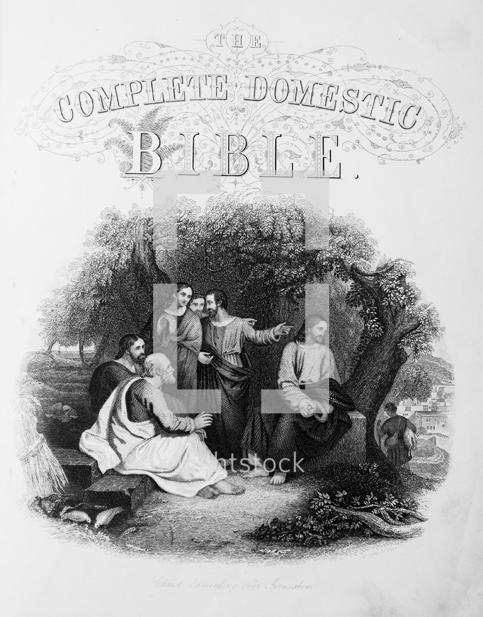 The Complete Domestic Bible cover 