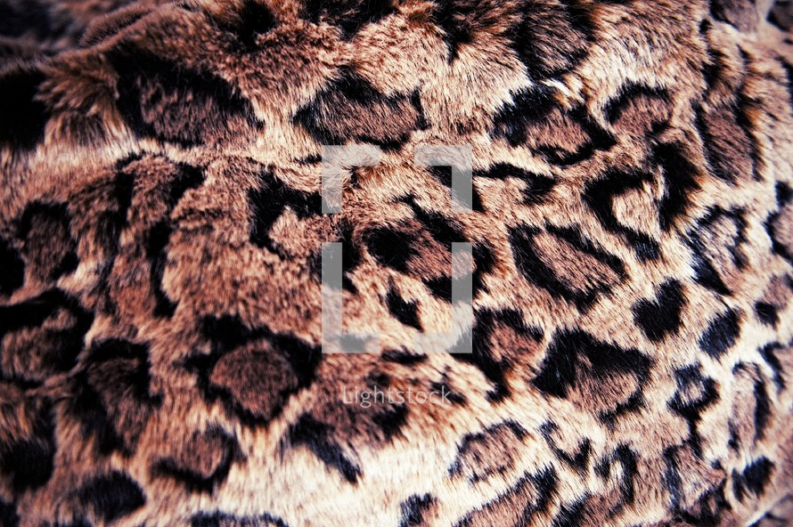 Cheetah print fur.