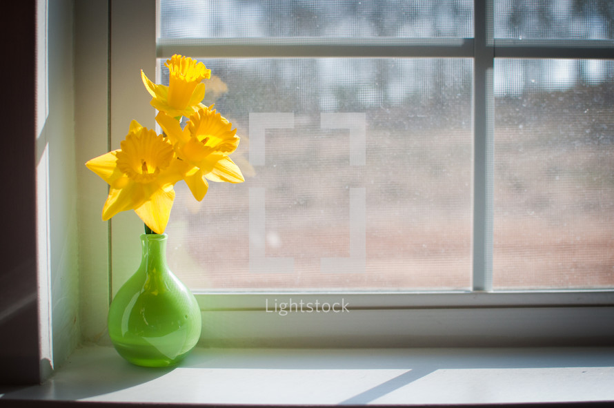 Flowers in the window sill.