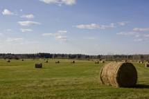 Bales of hay in freshly mowed field, with tree line on the horizon and blue sky with clouds.