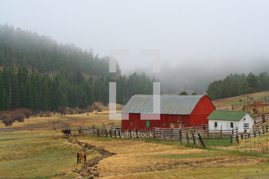 horse, cow, fence, fence line, barn, farm, stable, trees
