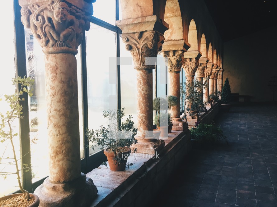 plants between columns in front of windows 