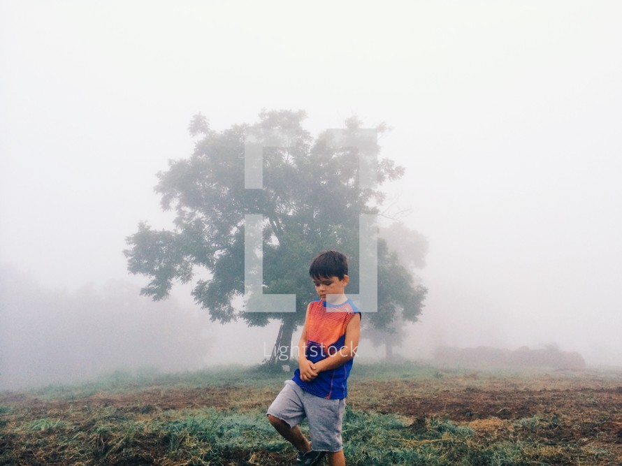 Boy walking through a foggy field with a tree.
