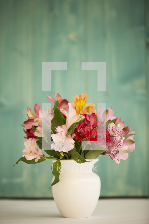 flower in a vase 