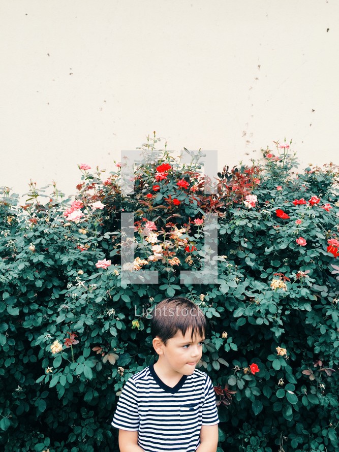 Boy standing outside in front of a rose bush.