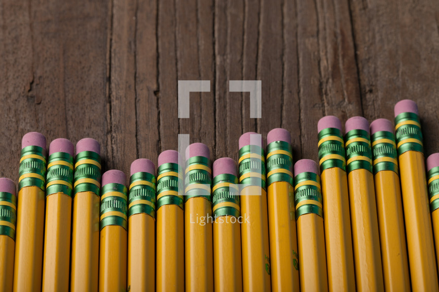 A row of yellow pencils with pink erasers.