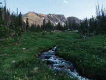 creek on a mountainside 