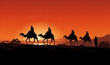 Three wise men on camels in the desert. Vector illustration.