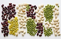 various types of beans on a white background. top view.