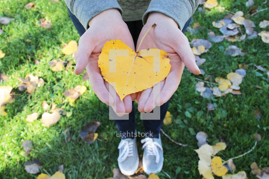 cupped hands holding a fall leaf 