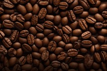 Coffee beans on wooden background. Close up. Toned.