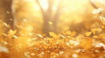 Beautiful autumn forest background with bokeh, fallen leaves and sunbeams.