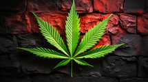 Marijuana leaf on a brick wall. 