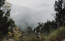 fog in a valley near a mountainside cliff 