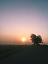 sunrise over a foggy rural field 