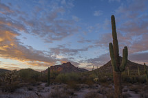Scenic desert sunset colors with Saguaro cactus and mountains