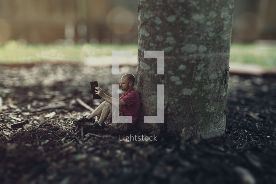 tiny man reading under a tree 