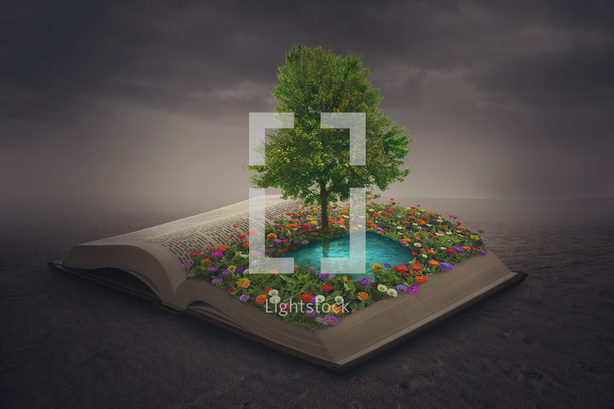 flowers around a pond on a Bible 