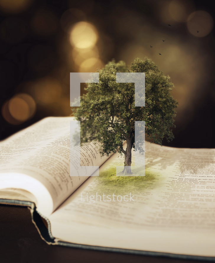 tree growing out of the pages of a Bible 