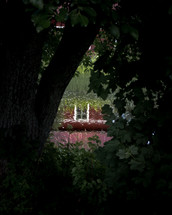 The reflection of a house in a lake, seen between shrubberies.