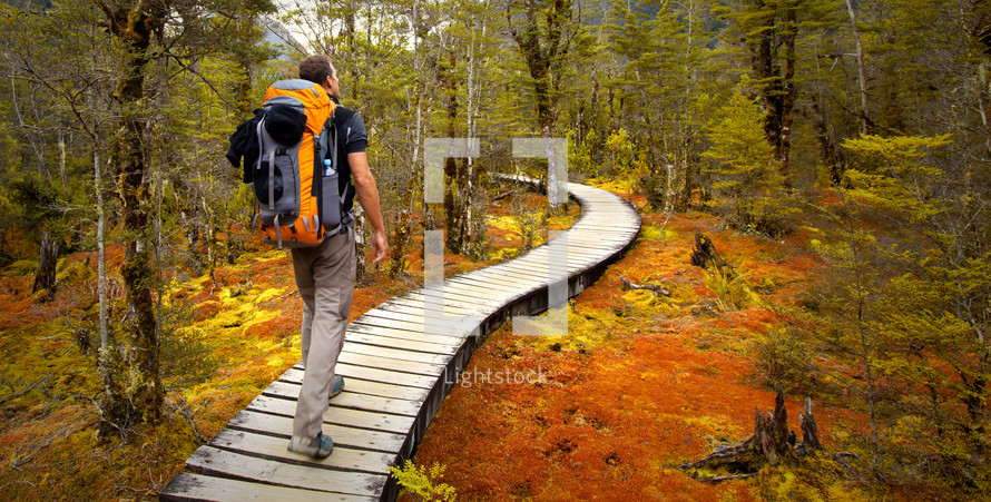 A backpack traveler on an adventure to hike a winding path through a forest.