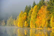 Autumn landscape in the mountains with trees reflecting in the water at St. Ana's lake, Romania