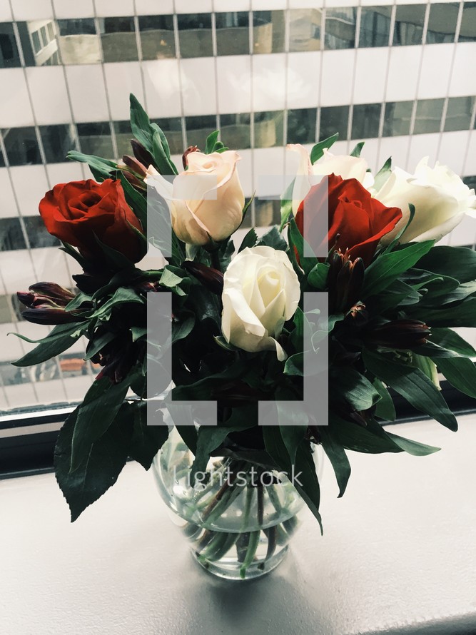 red and white roses in a vase in a window sill 