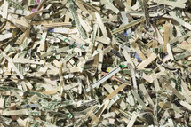 shredded money 