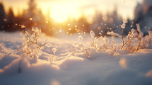 Falling snow background at sunset. 