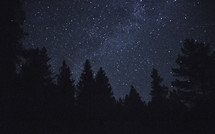 stars in a night sky and trees 