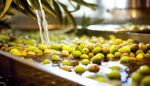 Sustainable production of olives. AI generative