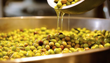 Sustainable production of olives. AI generative