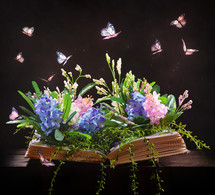 butterflies and flowers on the pages of a book 