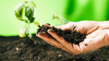 Farmer hand prepares topsoil for plants