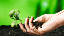 Farmer hand prepares topsoil for plants