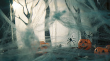 Spider Web For Halloween holidays