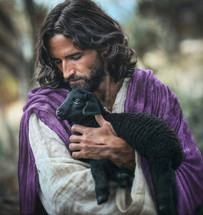 Jesus holds a baby black lamb.