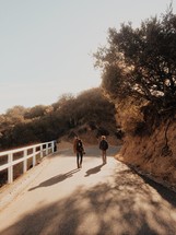 Two men walking down a country road